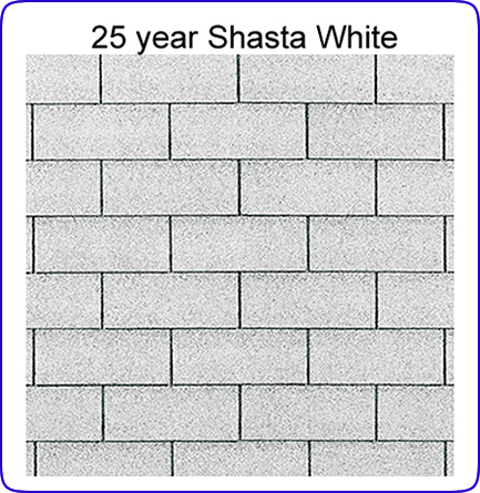 25 Year Shasta White